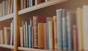 Summer Sale! Up to -40% discounts